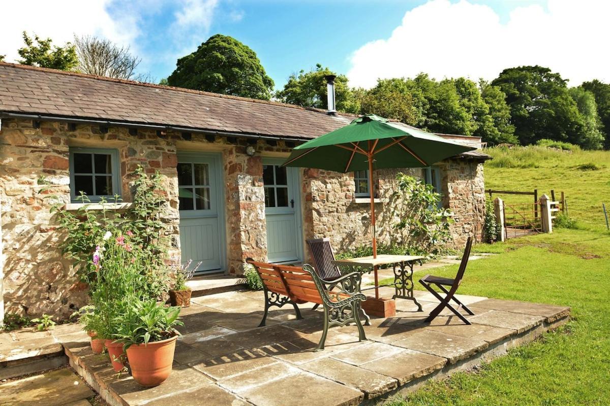 Dandelion Cottage, Amroth Exterior photo
